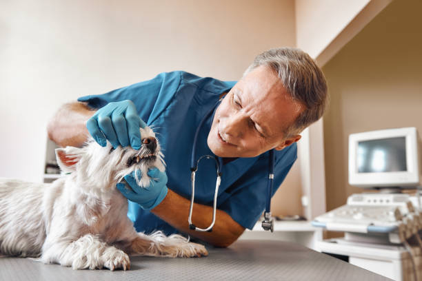 Best Emergency Denture Repair in Baldwyn, MS